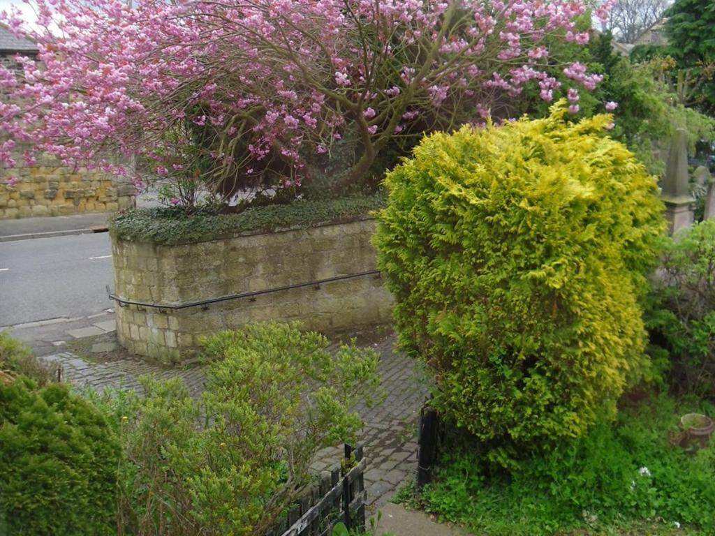 The Old Vicarage Bed & Breakfast Belford Eksteriør bilde